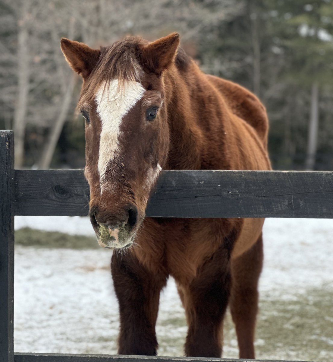Mary Eddy🏇🏼 tweet media