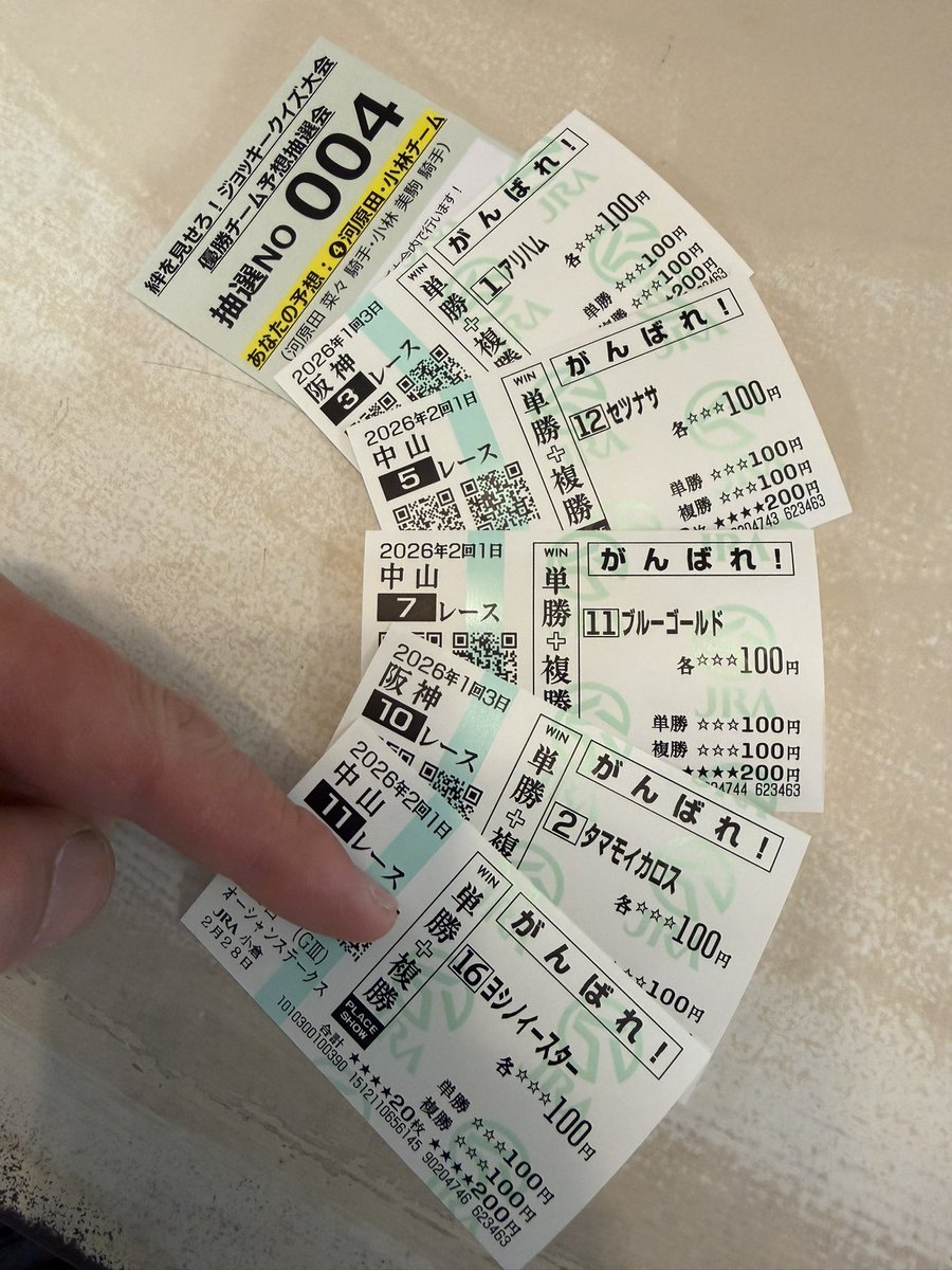 Post by にわとりの着ぐるみ on X: 本日の応援馬券。