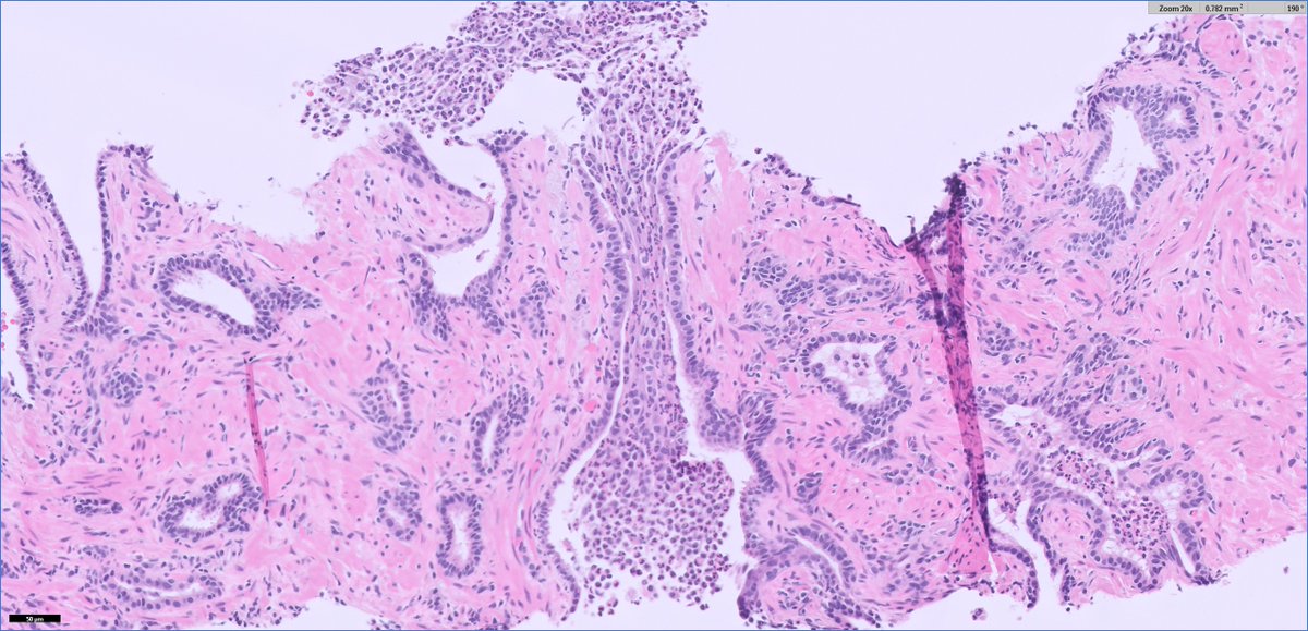 Ankur Sangoi tweet media