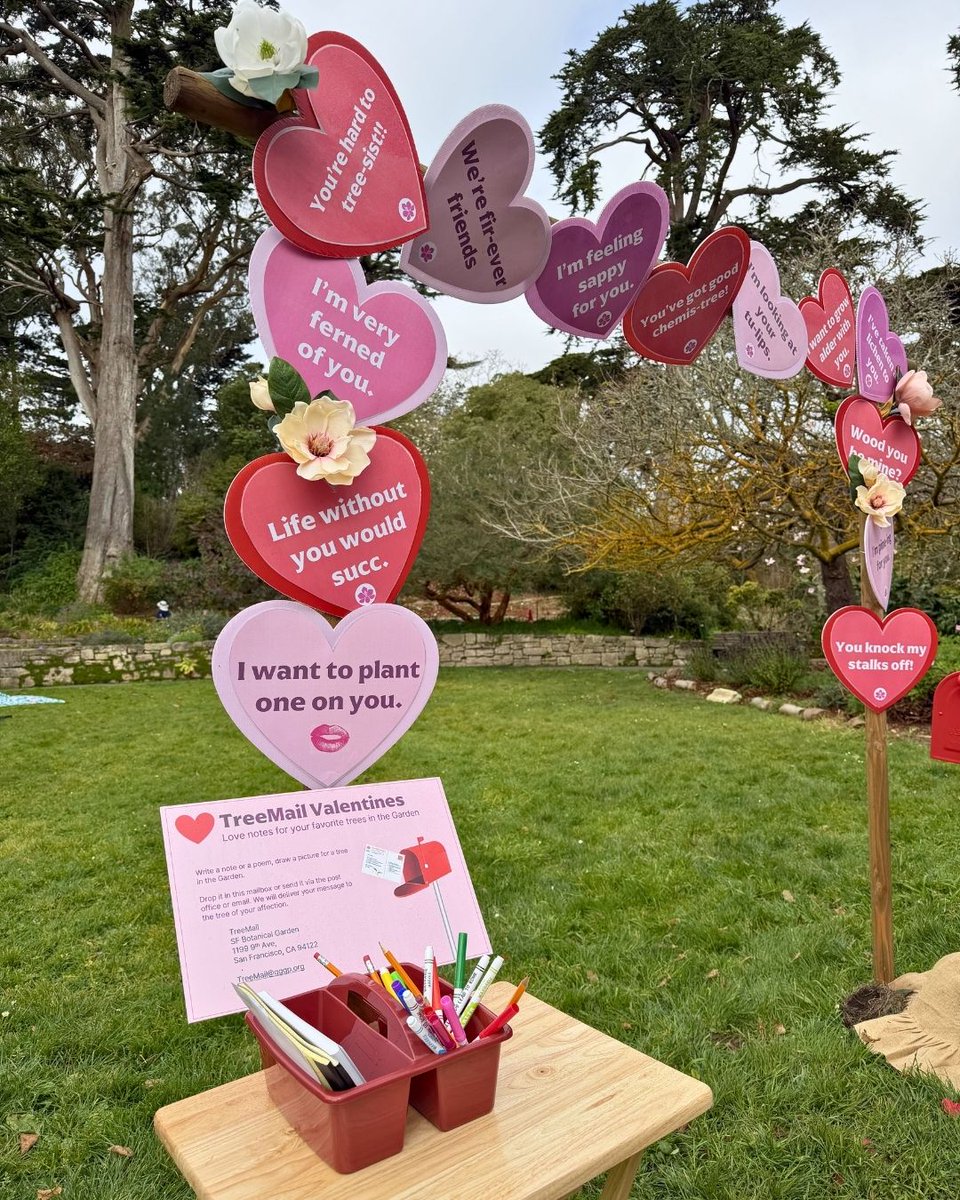 San Francisco Botanical Garden tweet media