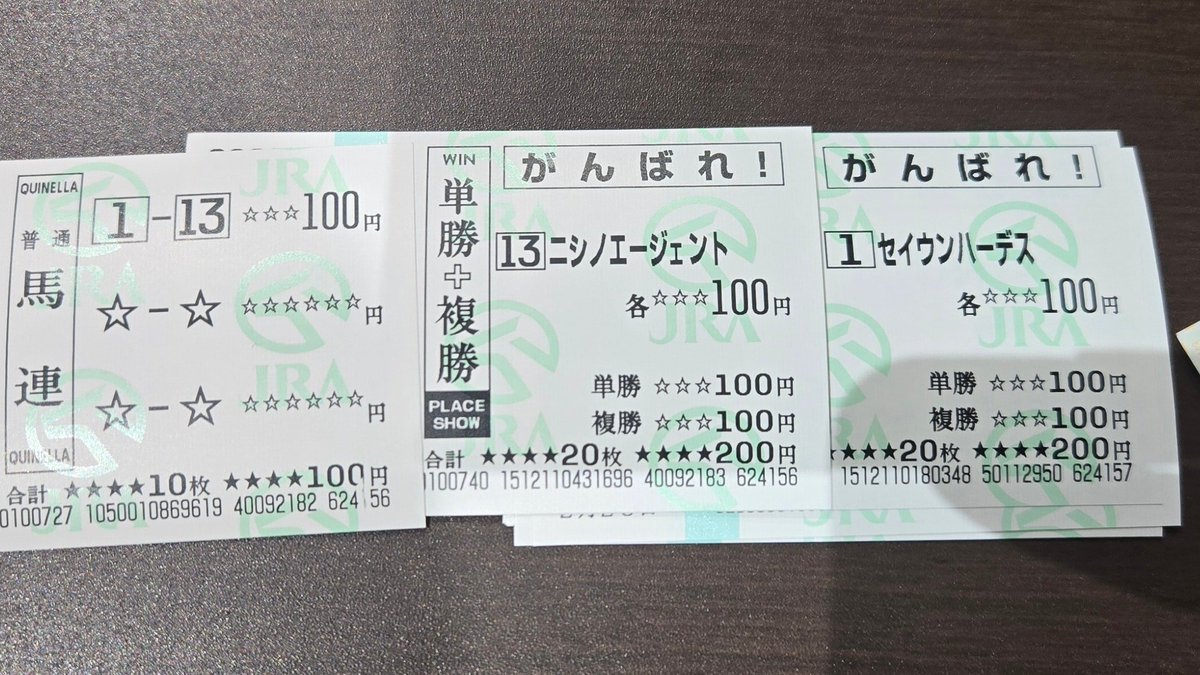 中山記念、セイウンハーデスとニシノエージェントの応援馬券買いました