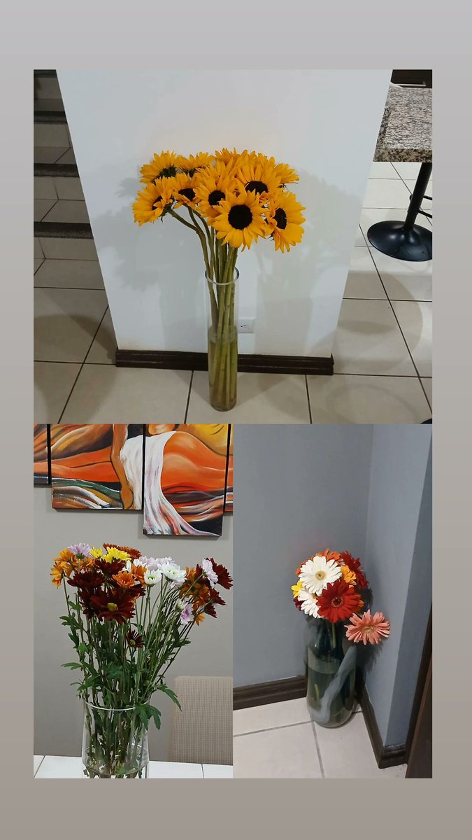 Realmente ❤️ las 🌷🌼🌺🌹🏵 en la 🏠