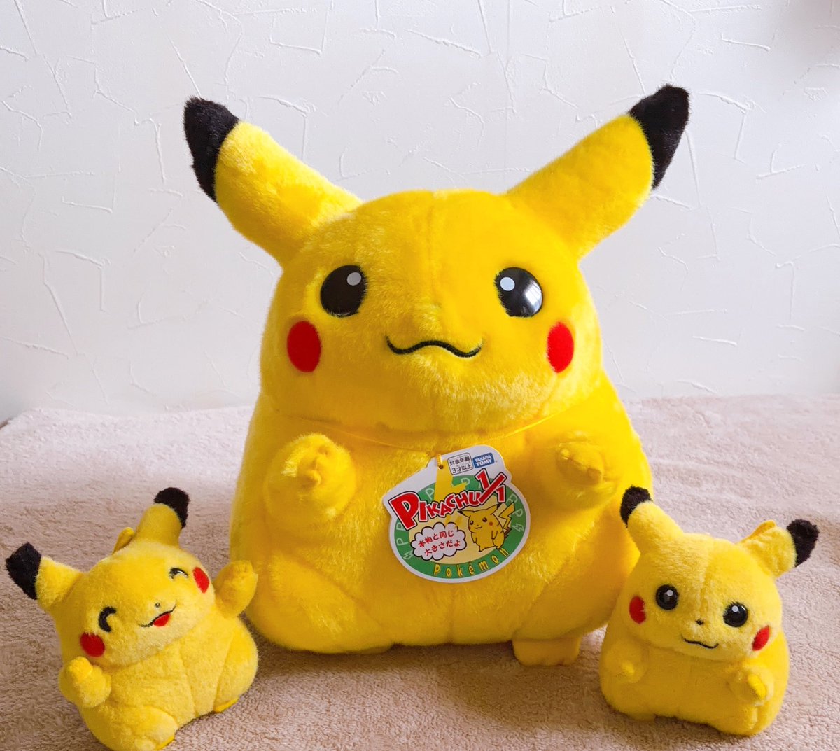 はなちき@ぬいぐるみ好き tweet media