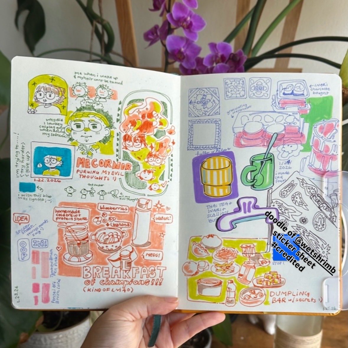 mon 🍳 tweet media