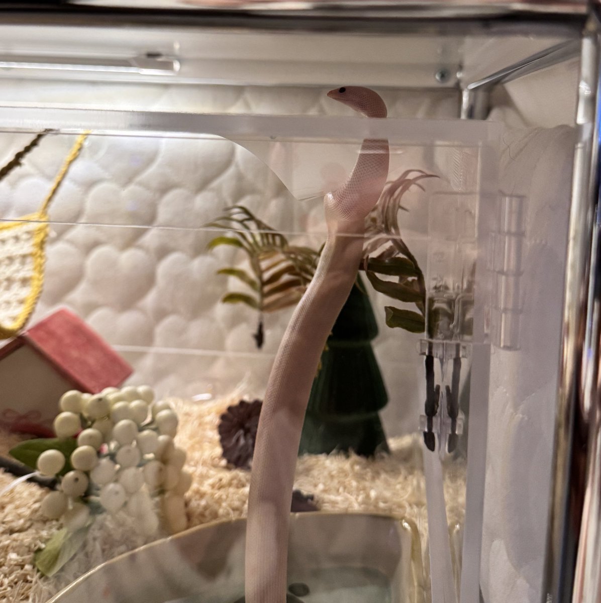 식자재마트 tweet media