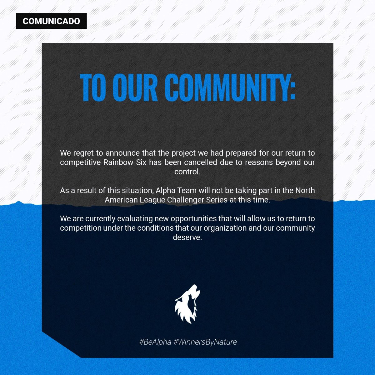 Alpha Team tweet media