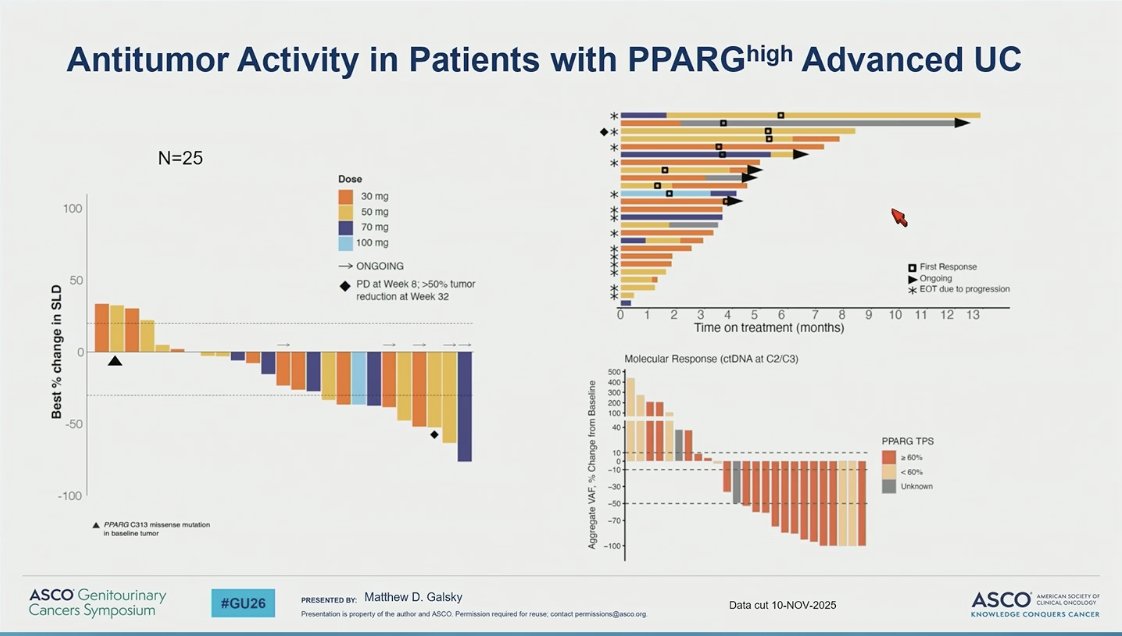MikeSerzanMD's tweet photo. 🗣️Urothelial Rapid Oral Abstracts #GU26
👉Dr @MattGalsky presenting phase 1 #PPARG in pts w/ >2L metastatic UC.
PPARG (high) TPS >60%
📊18/26 tumor regressions
📊5 cPR, 1 uPR
>G3 TRAEs at 30mg, 50mg dosing
⚠️ Anemia (18.9%)
⚠️ Thrombocytopenia (16.2%)
⚠️ Fatigue (10.8%)
🔑Key Data underscoring PPARG as therapeutic target in metastatic urothelial carcinoma. Further biomarker optimization and dose expansion studies underway!
@apolo_andrea @shilpaonc @BourlonMaite @katy_beckermann @bergsa83 @PGrivasMDPhD @AmandaNizamMD @DrKarineTawagi @drenriquegrande @MichvdHeijden @DrRosenbergMSK @Dr_Aggen @OncoBellmunt @yekeduz_emre @PGrivasMDPhD @urotoday @Uromigos @OncBrothers @OncoAlert