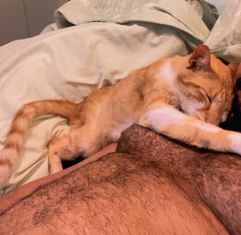 CALMA UMA PORRA tweet media