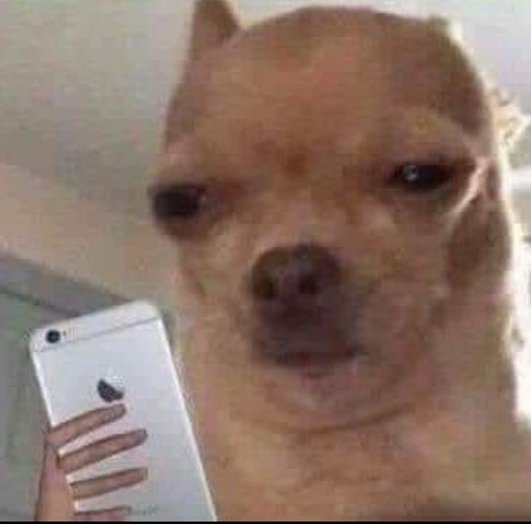 Subí un video de descuentos y justo tengo 10 comentarios preguntandomé el precio de lo más caro que hay en la tienda. No voy a responder.