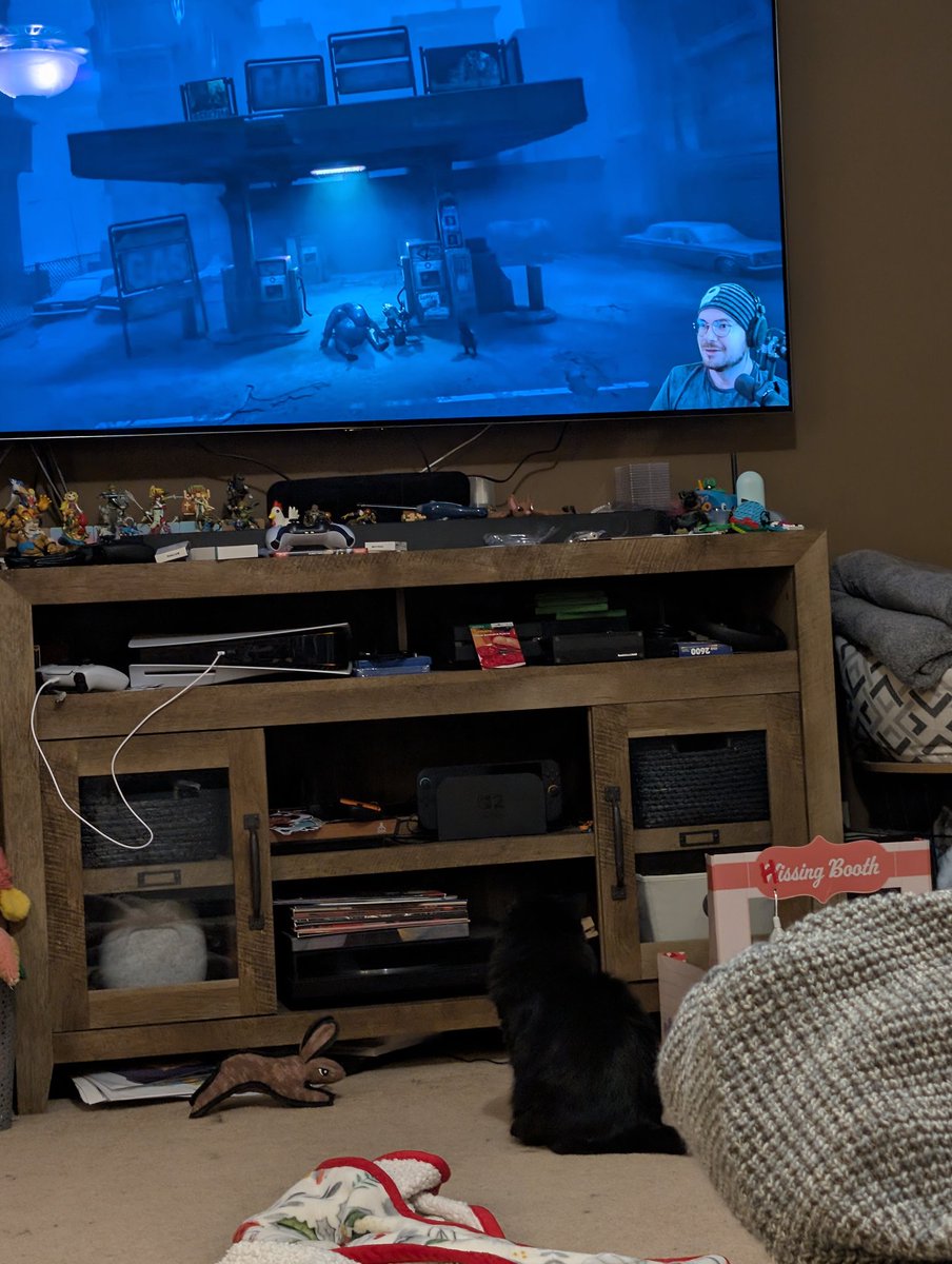 jessibaby1986's tweet photo. @CrikMaster my cat is watching your YouTube videos. https://t.co/TJNxDeYLFc