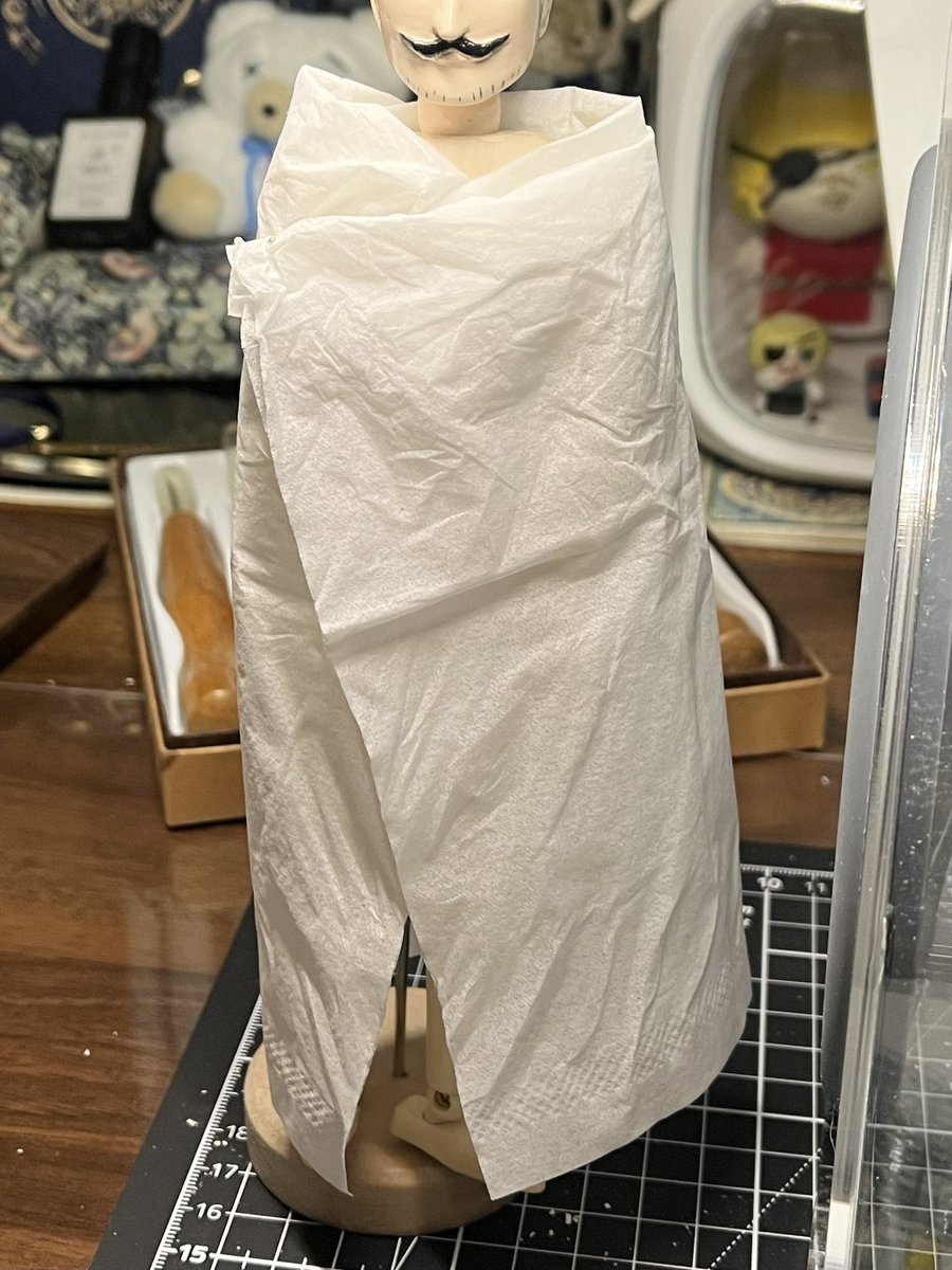 Post by ポム on X: ティッシュミ🧻