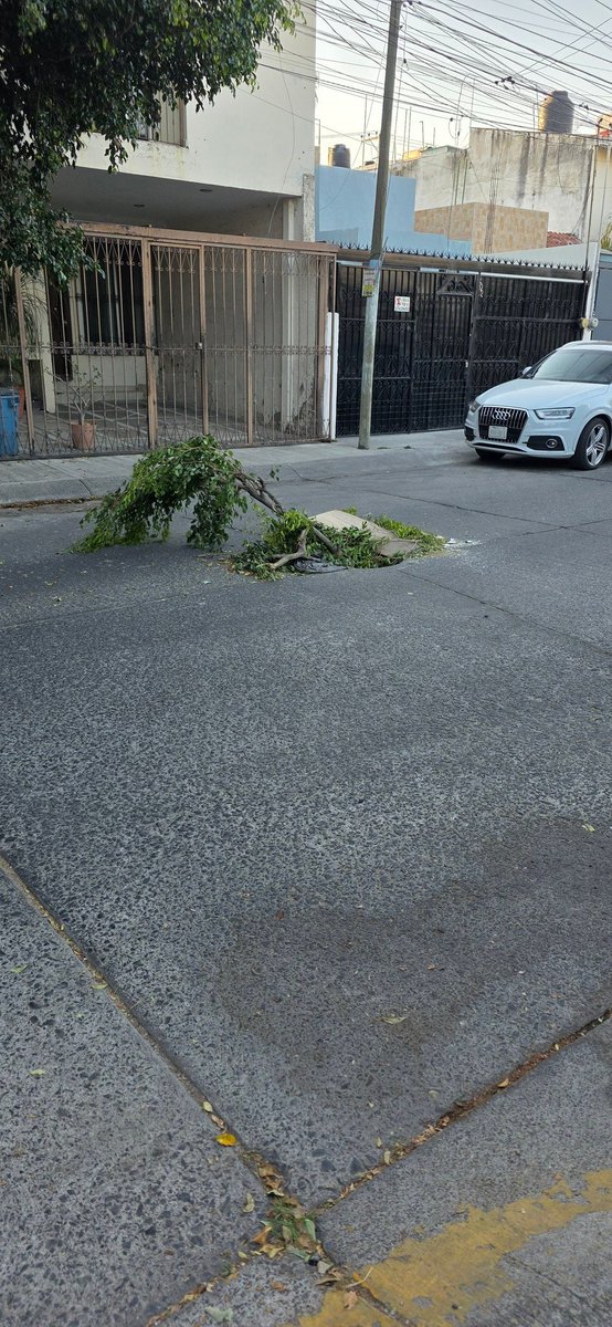 J0RG3FR3G050's tweet photo. Peligrosa alcantarilla para peatones, y automóviles, en calle Misión San Francisco, en su cruce con Misión San Lorenzo, en Residencia Plaza Guadalupe, en Zapopan, Jalisco. @siapagdl @ZapopanGob @Trafico_ZMG https://t.co/vH7basmrJ3