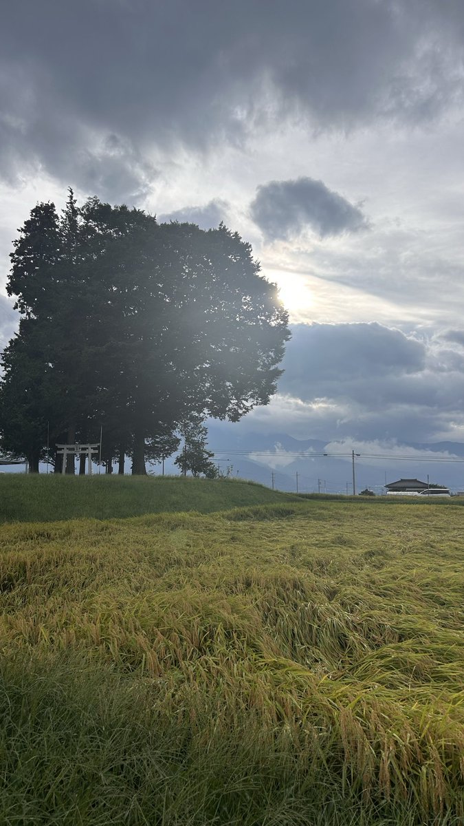 一般社団法人　本づくり協会 tweet media