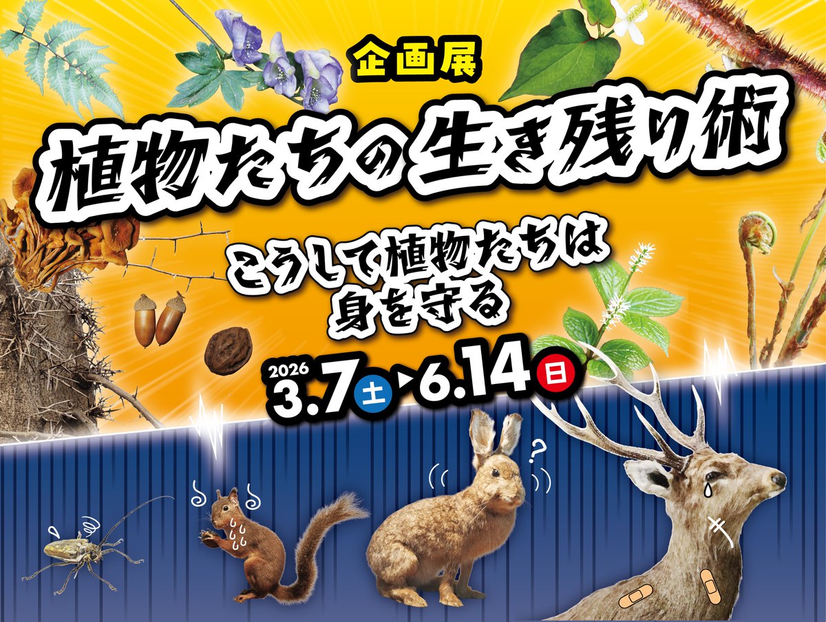 3月博物館情報（3/1現在） 】 ○休館日 2日(月)、9日(月)、16日(月