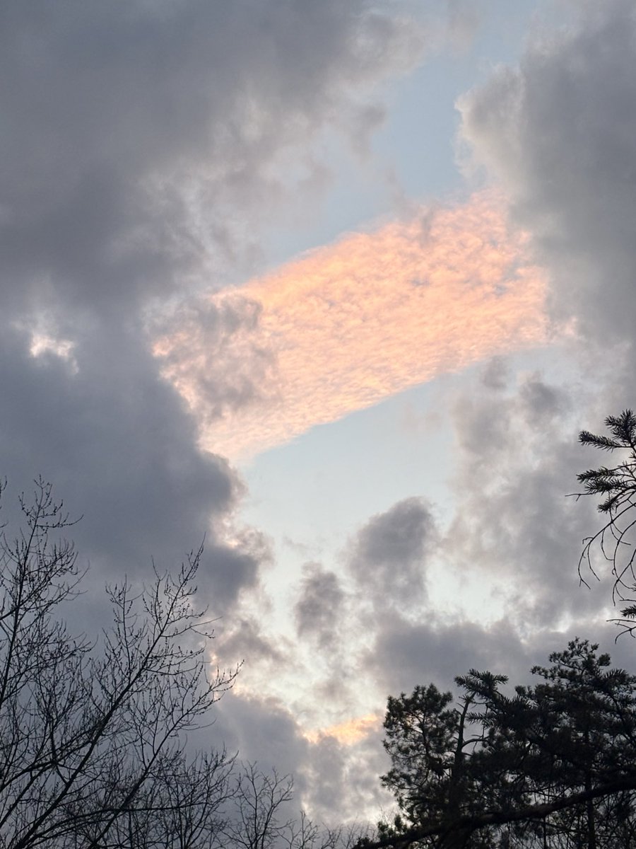 Ryan Wolfe tweet media