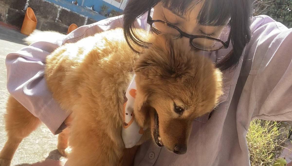 chxrryy☆ tweet media