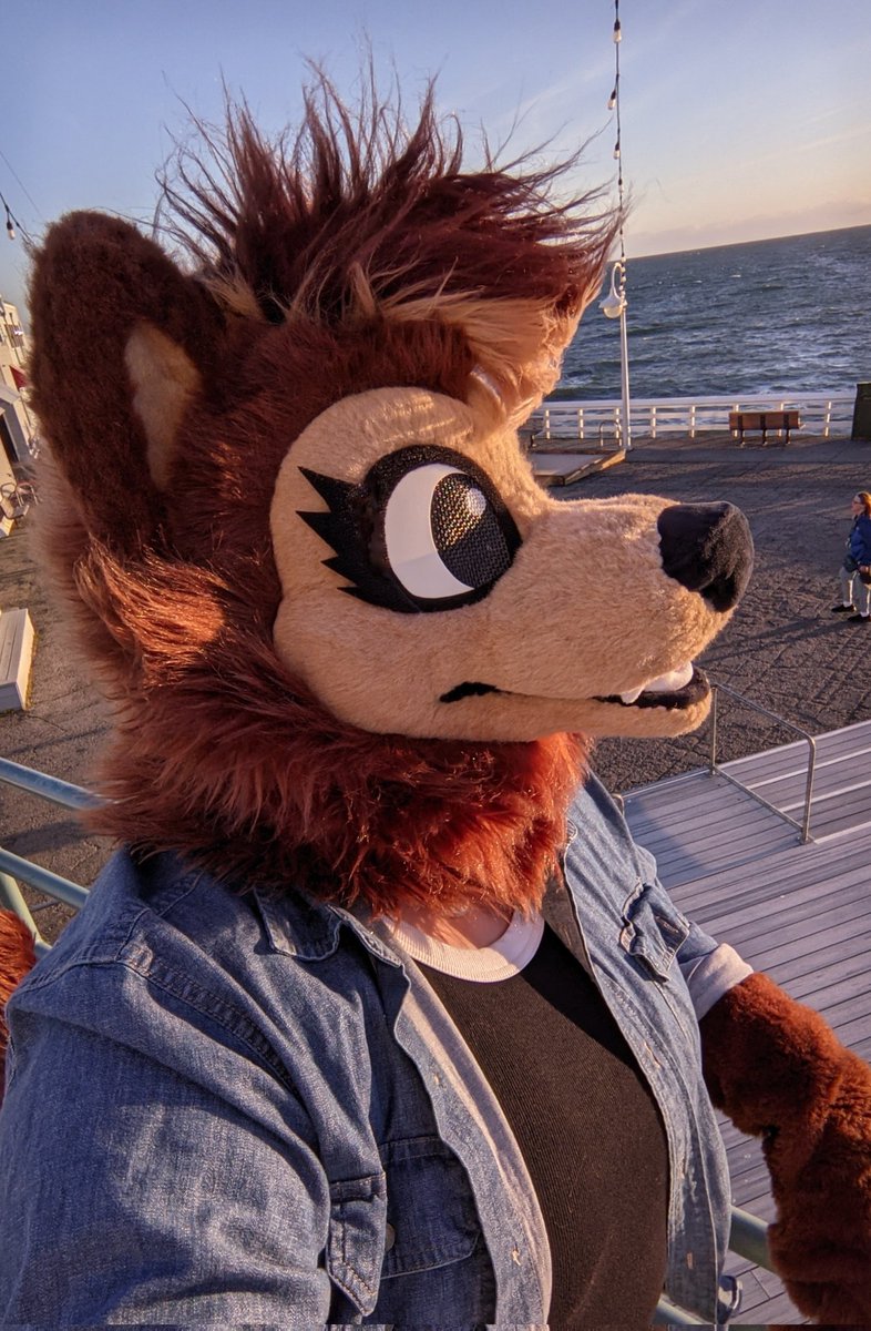 Maple/Bailey tweet media