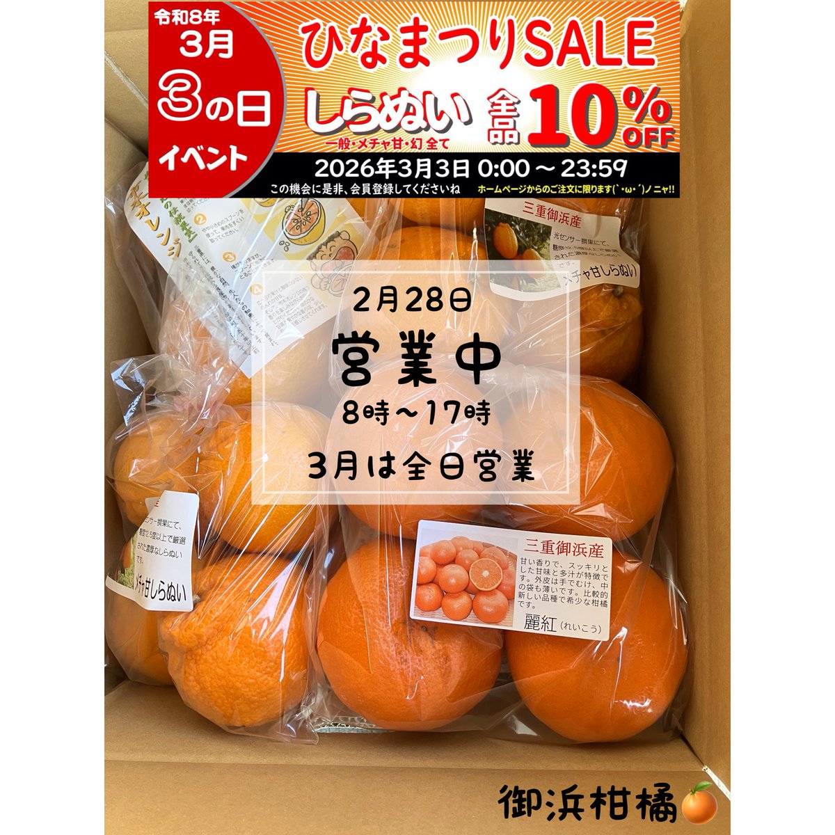 “こだわりみかん”の御浜柑橘 tweet media