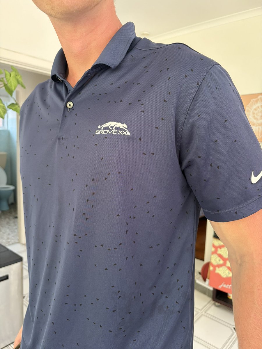 Just got brutally logo mogged by my roommate