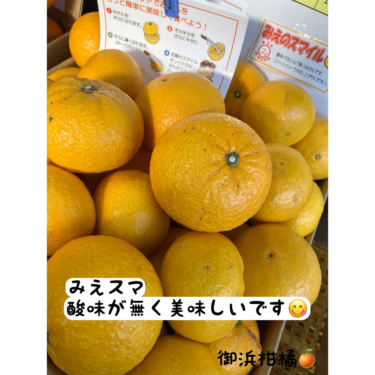 “こだわりみかん”の御浜柑橘 tweet media