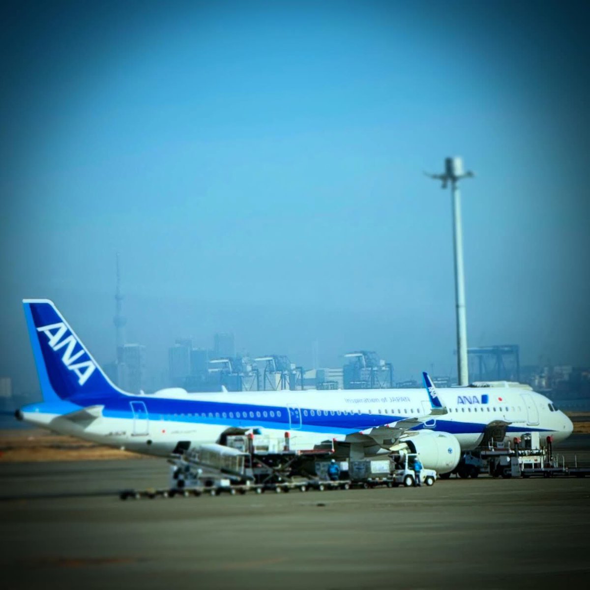 yoshihomma's tweet photo. Ready for departure. https://t.co/KIzl7NLCeC