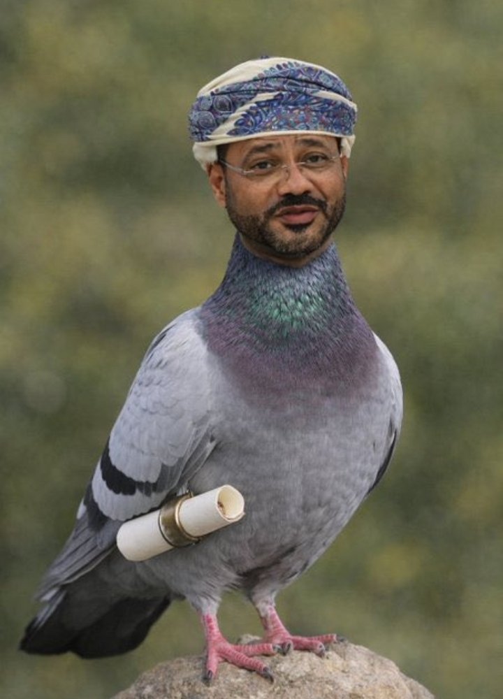 King Iran tweet media