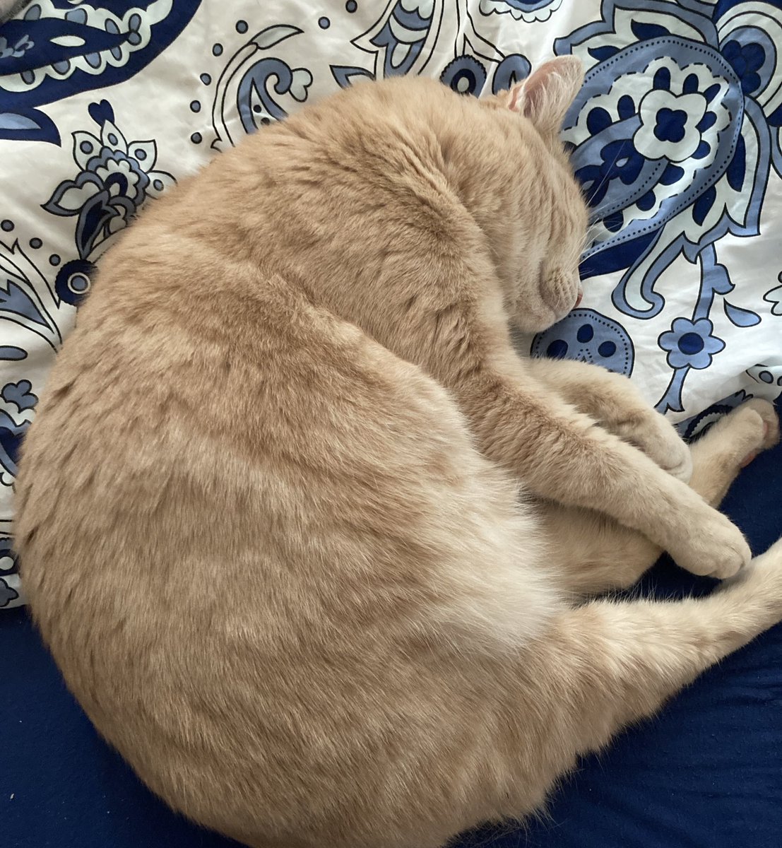 Oğlum, yavrum, küçük danam, tombalağım. Bana hayatımın sonuna kadar unutmayacağım bir acı yaşattın, beni bırakıp gittin. Seni her zaman en güzel günlerimizdeki gibi hatırlayacağım. Çok acı çektin, hastalığın bitirdi seni, şimdi ise kurtuldun. Umarım gittiğin yerde huzurlusundur…