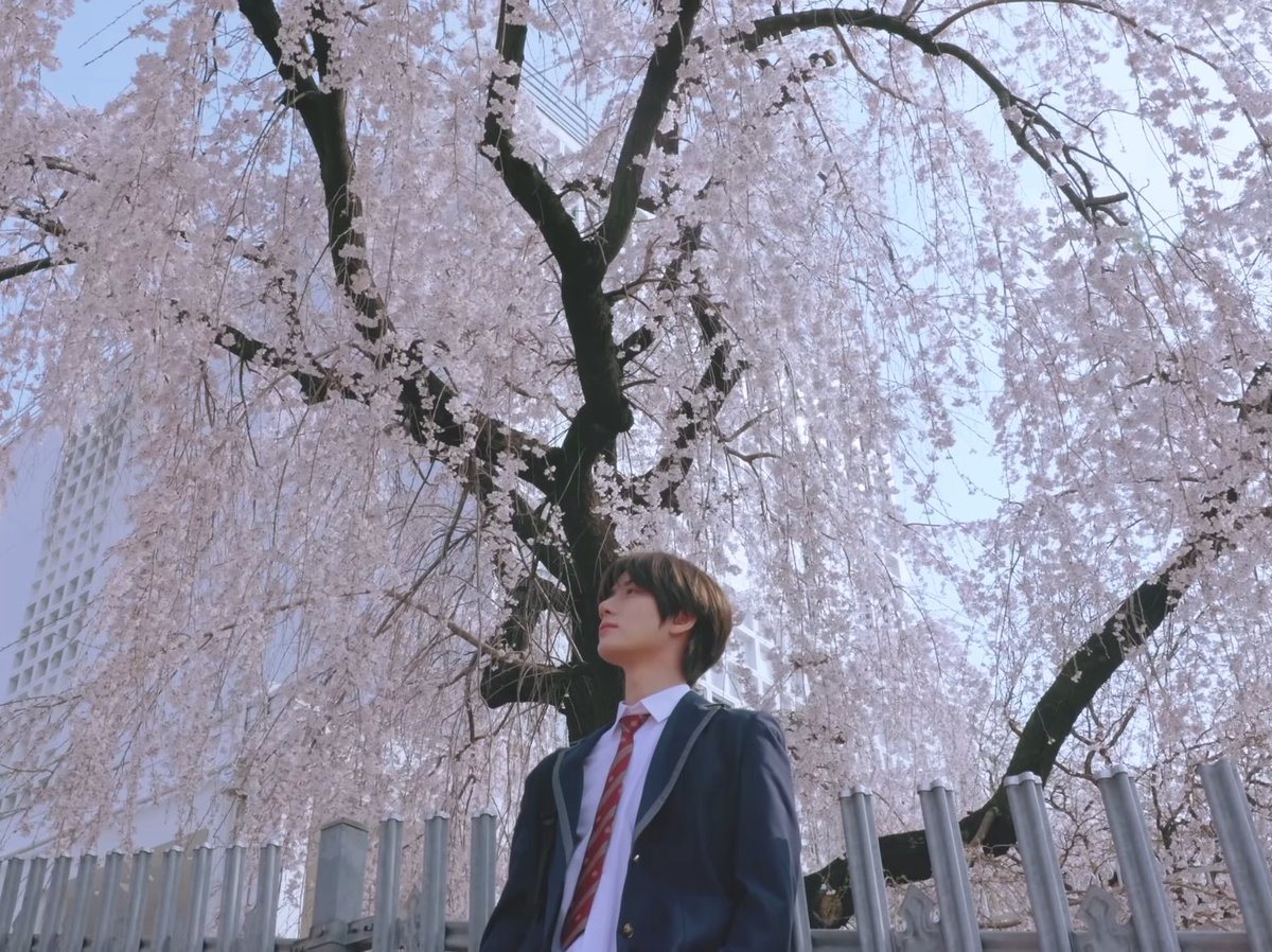 beomyeppi's tweet photo. sukidakara x one more time, one more chance https://t.co/1u1CjYbHD2