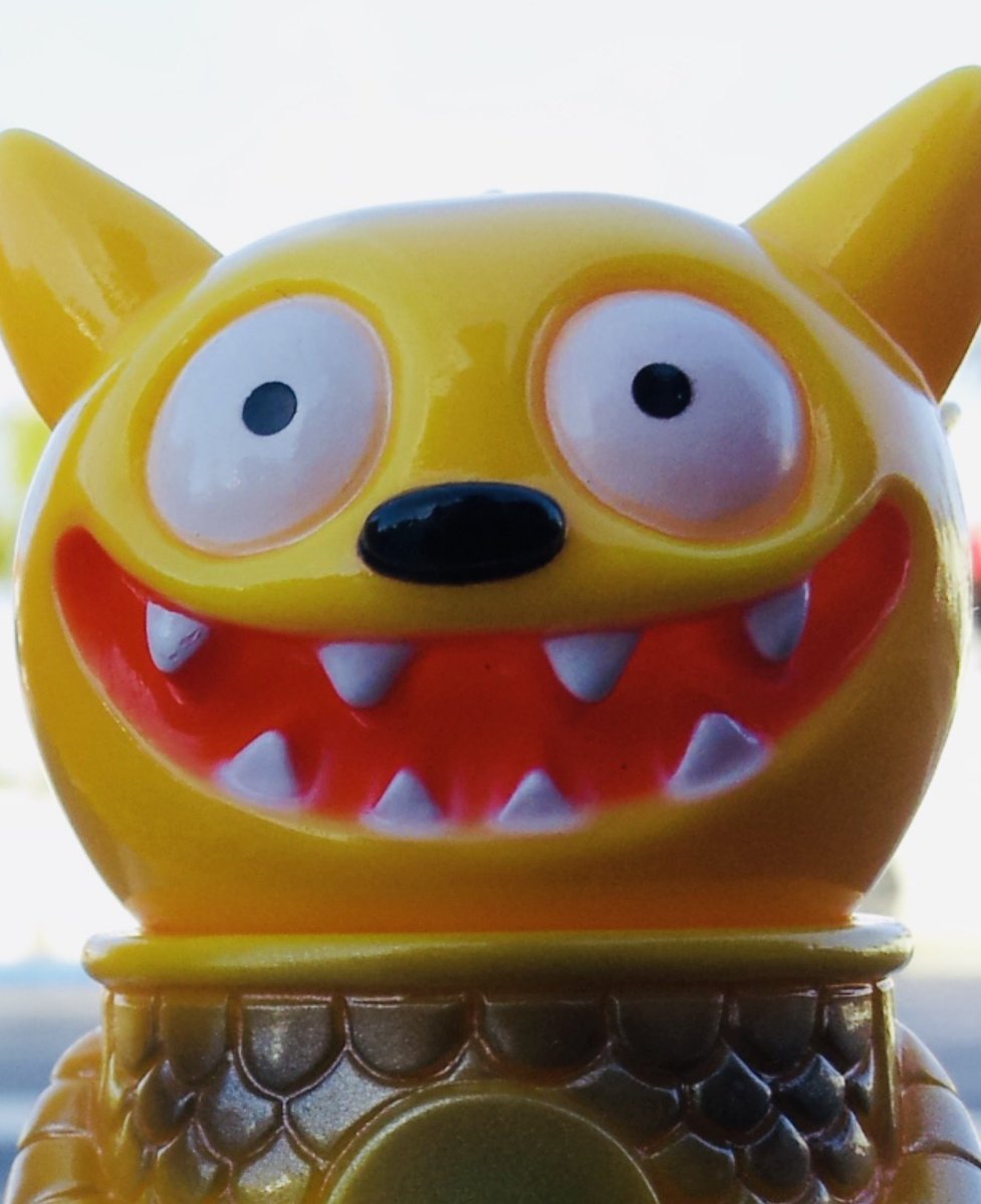 DAVID HORVATH tweet media