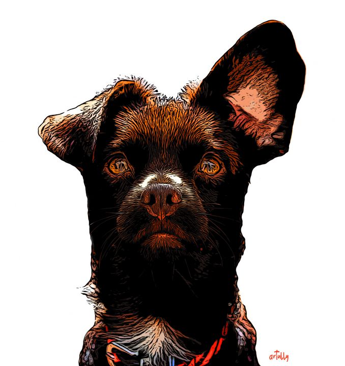 ar_tully's tweet photo. Art of the Day! "Rio the Spanish rescue dog". Buy at: https://t.co/f4z06KuHyK https://t.co/x7iwyJa59G