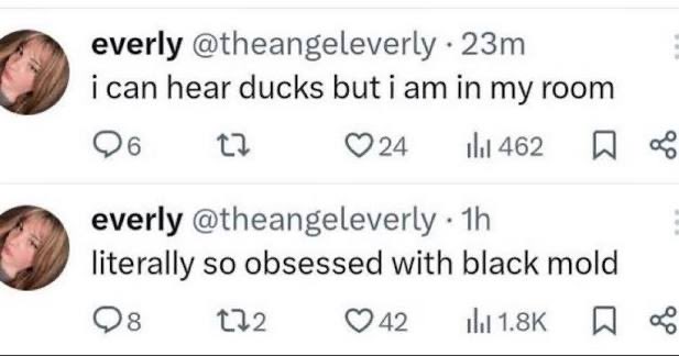danielb4qdw's tweet photo. it was so funny when this screenshot went viral and i saw so many references to it for like a month https://t.co/ZTEvATFhlI