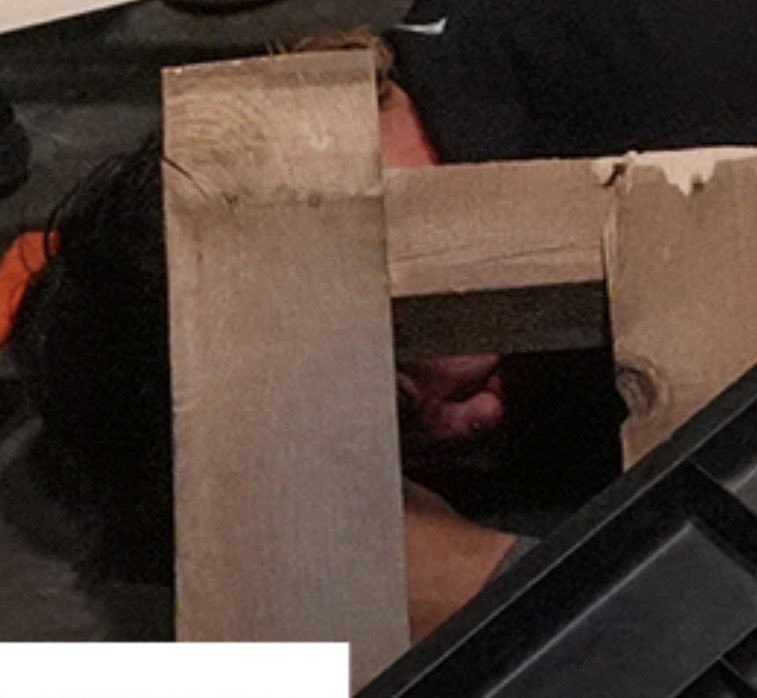 Ayden Callender tweet media