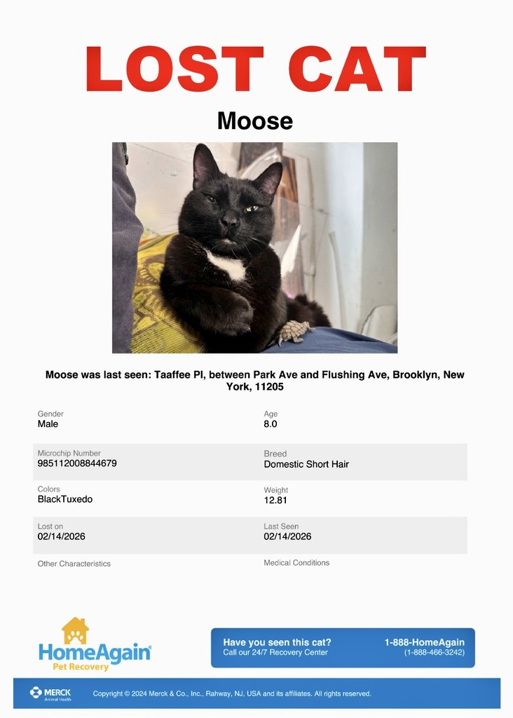 🌻Samson Cat🐱 tweet media