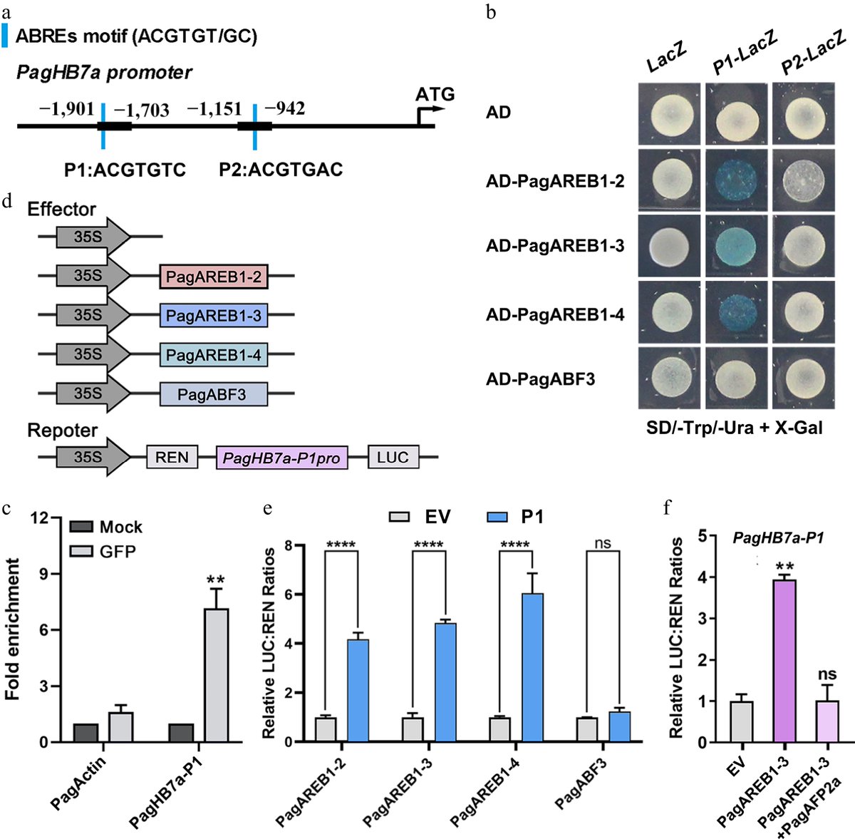 Forestry Research tweet media