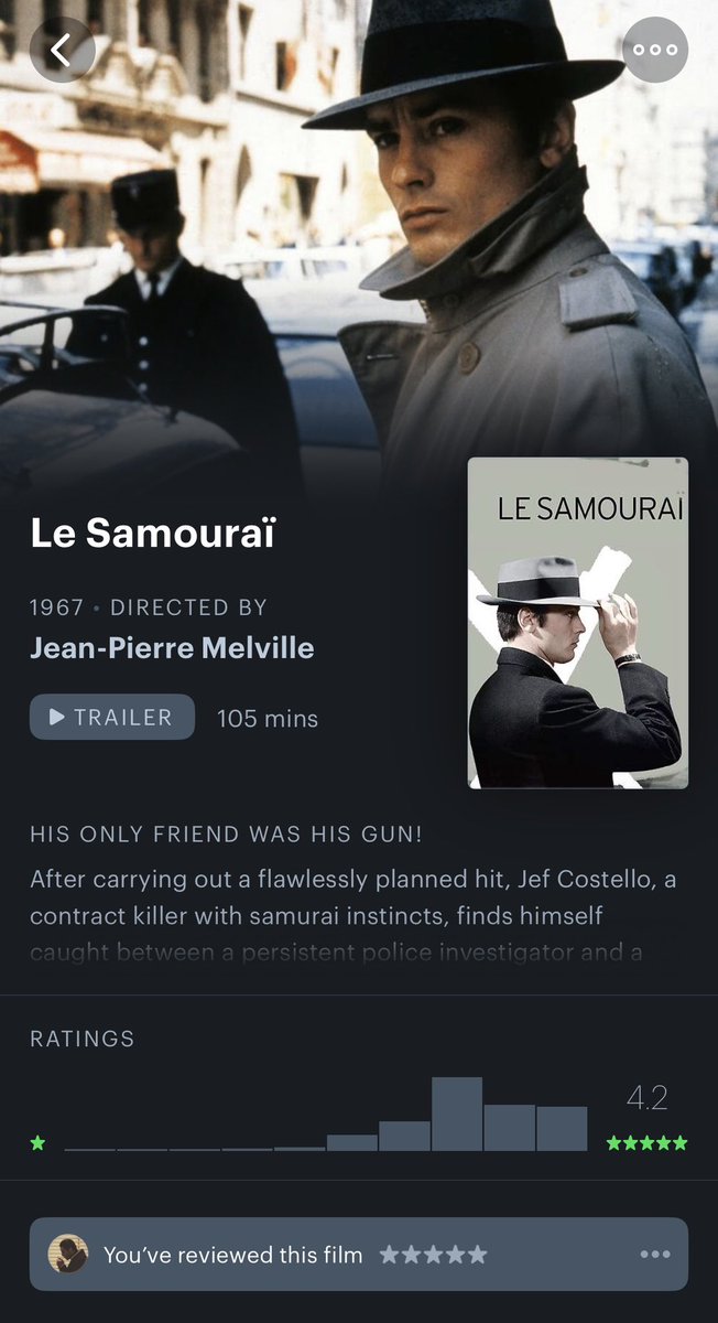 🇲🇦 tweet media