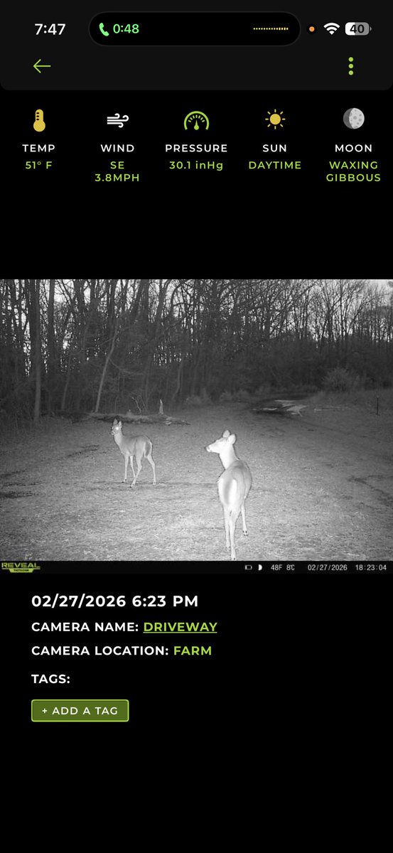 cjfaison's tweet photo. Apparently the deer heard something back near the house. https://t.co/9mz50xjrAa