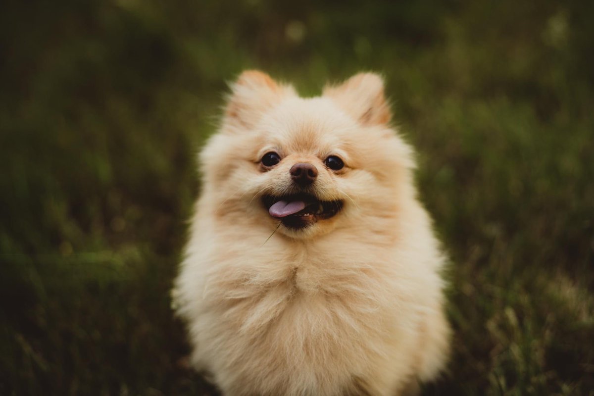 Small Might 𒉭 tweet media