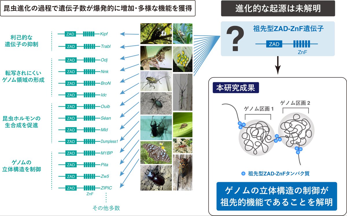 Takashi Fukaya tweet media