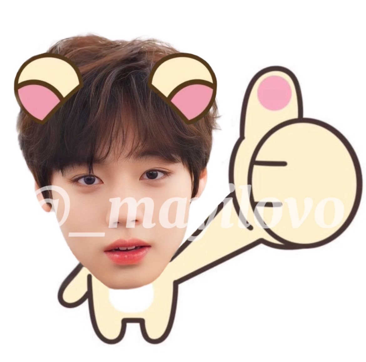 먼꼬 tweet media