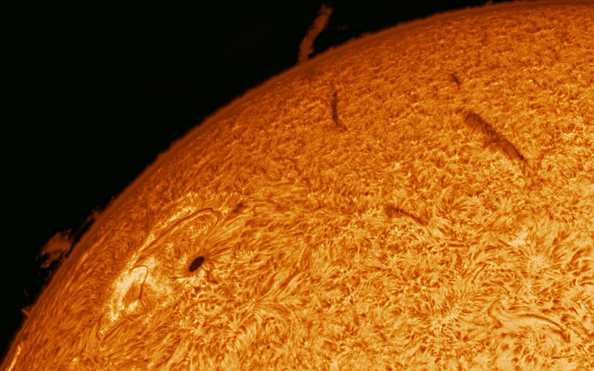 TechTranslate tweet media