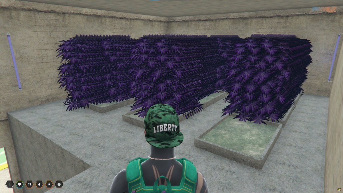 ElParce95's tweet photo. DIA DE GUERRAAAA !!!LLEGUENSE!!!! #familyrp
https://t.co/w9l14Dwr4w https://t.co/1EmBGbf6zx