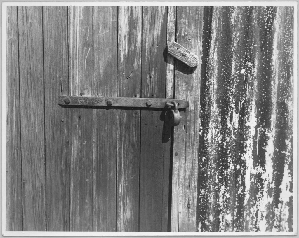 Untitled (Louisiana?)