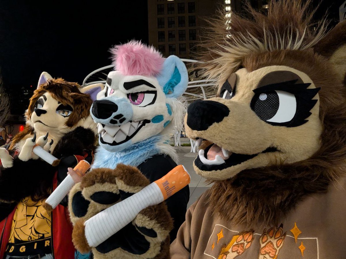 Maple/Bailey tweet media