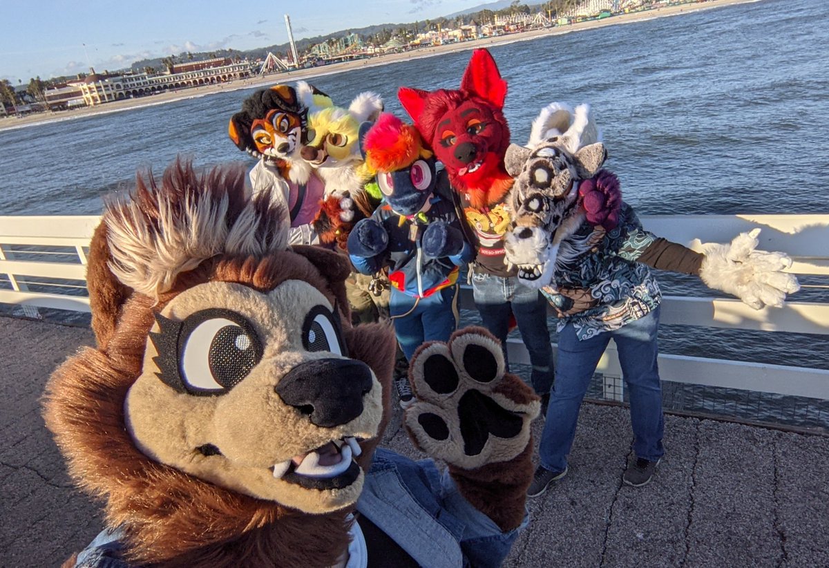 Maple/Bailey tweet media