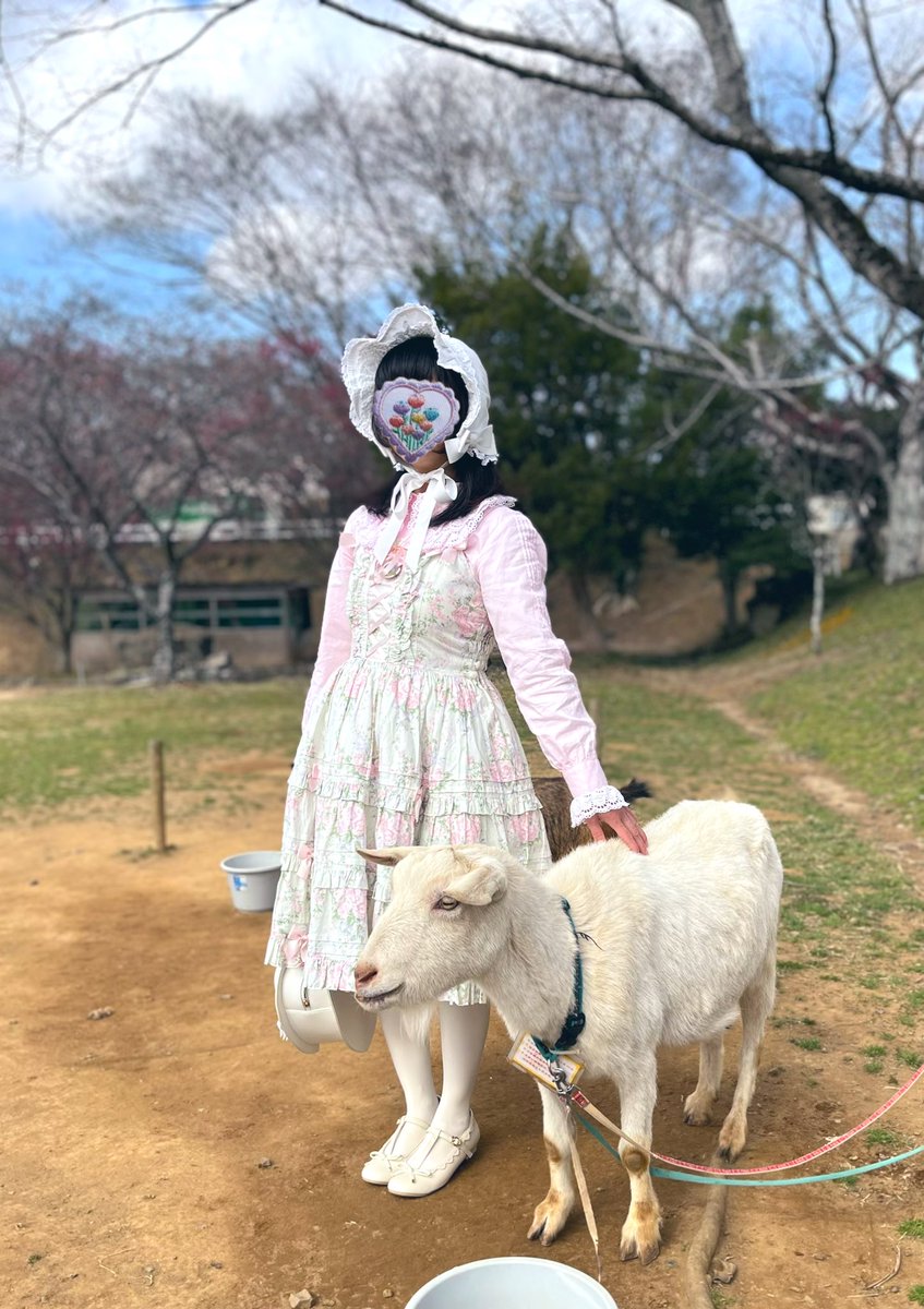 今日は暖かいね、春が近いね😉

🐐「メェー」