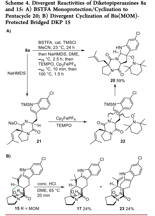 Total Synthesis tweet media