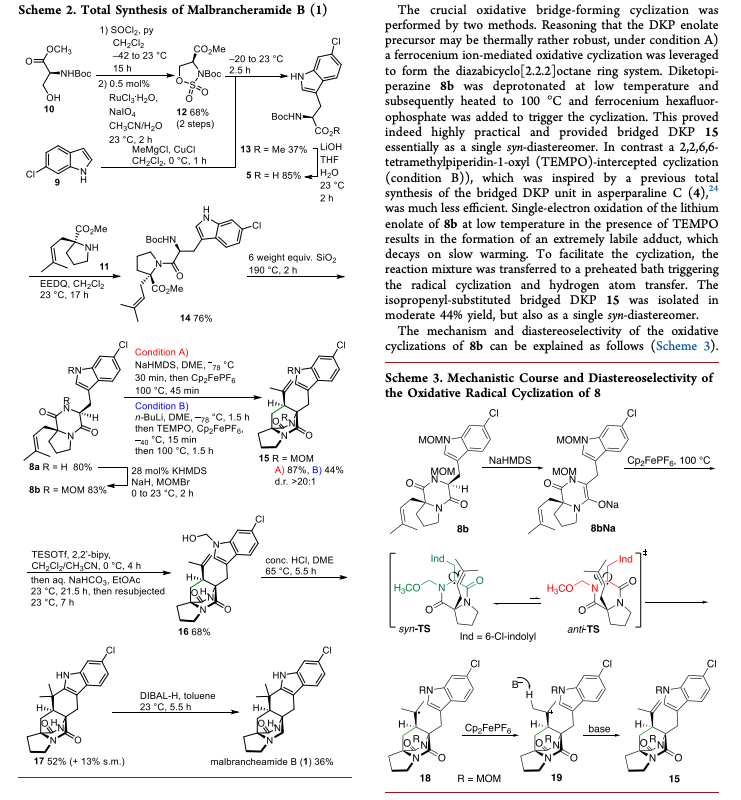 Total Synthesis tweet media