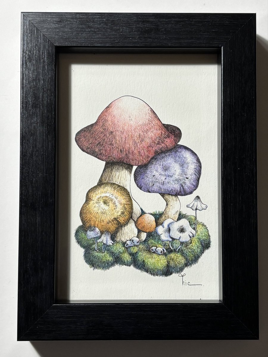 #今月描いた絵を晒そう 

今月は色鉛筆に目覚めた月でしたね
来月も楽しんで描いていきましょ⸜(* ॑꒳ ॑*  )⸝

 #ペン画  #アナログ #色鉛筆