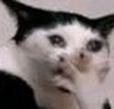 Gerluce devia tá numa seca desgraçada no dia que aceitou ficar com Gilmar, né? #TrêsGraças