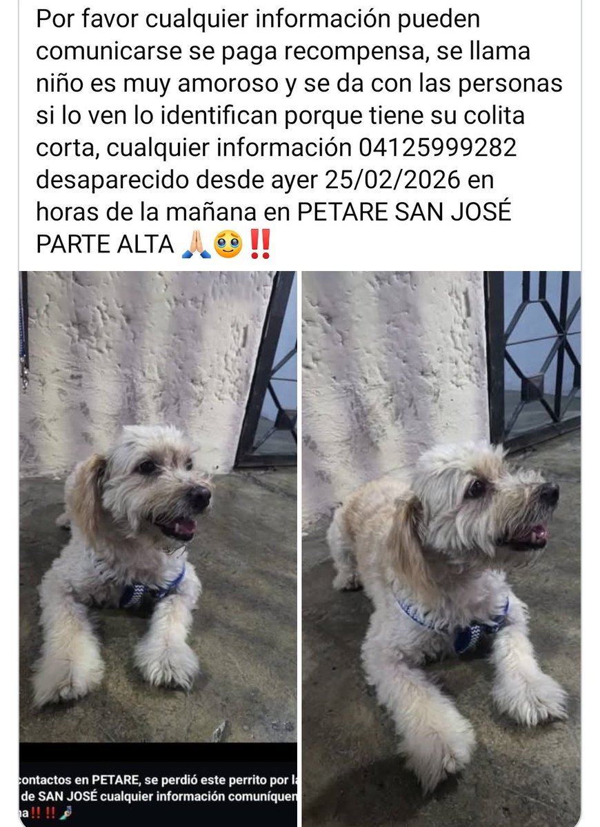 Se busca en Petare, San José